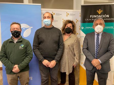 Imagen Los olivares centenarios del Somontano, protagonistas del primer estudio...