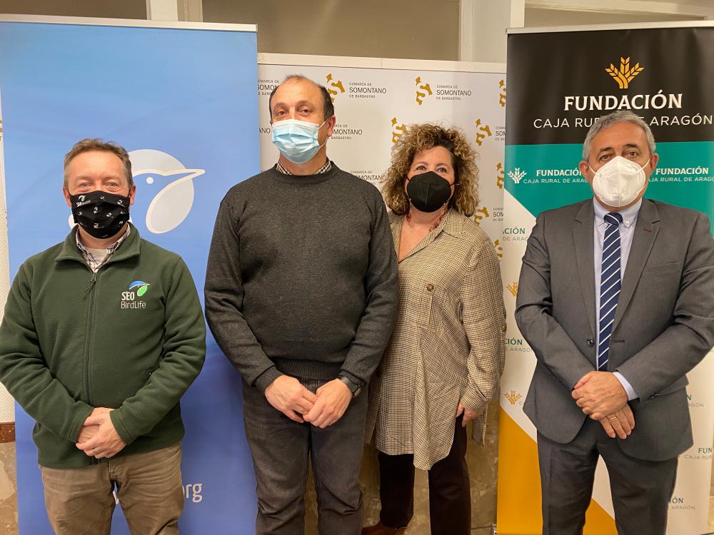 Imagen Los olivares centenarios del Somontano, protagonistas del primer estudio de Aragón sobre la biodiversidad en el olivo